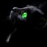 carneycat